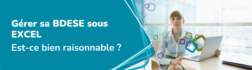 BDES : gestion sous excel de la nouvelle BDESE