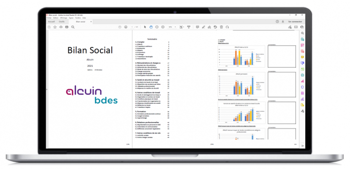 BDESE et bilan social : doublon ? Ou complémentarité